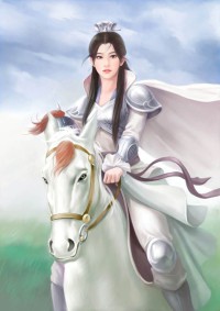 神境上空的星辰